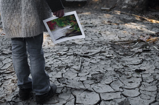 Autora: Gladys Farias